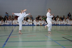 IMG_1806_bearbeitet-1