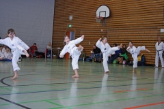 IMG_1808_bearbeitet-1