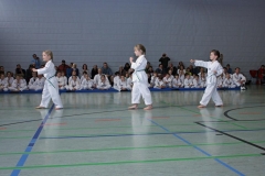 IMG_1811_bearbeitet-1