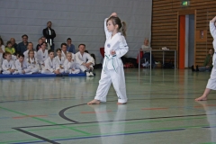 IMG_1813_bearbeitet-1