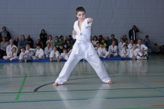 IMG_1841_bearbeitet-1