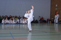 IMG_1850_bearbeitet-1