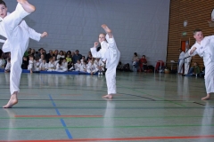 IMG_1854_bearbeitet-1