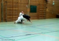 2011_04_02Rollstuhltaekwondo 3360
