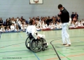 2011_04_02Rollstuhltaekwondo 4133