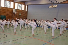 IMG_3681_bearbeitet-2