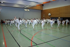 IMG_3683_bearbeitet-1