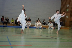 IMG_3693_bearbeitet-1