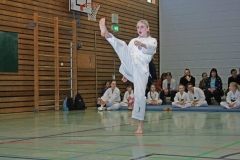 IMG_3718_bearbeitet-1