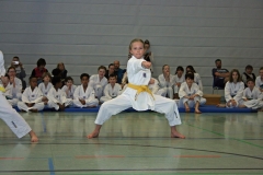 IMG_3735_bearbeitet-1