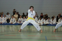 IMG_3736_bearbeitet-1