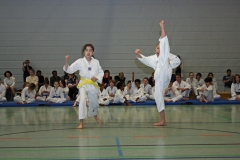 IMG_3742_bearbeitet-1