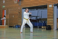 IMG_3761_bearbeitet-1