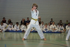 IMG_3764_bearbeitet-1