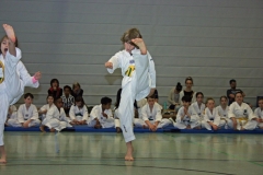 IMG_3768_bearbeitet-1