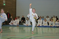 IMG_3770_bearbeitet-1
