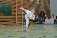 IMG_3774_bearbeitet-1