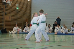 IMG_3806_bearbeitet-1
