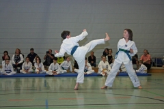 IMG_3861_bearbeitet-1