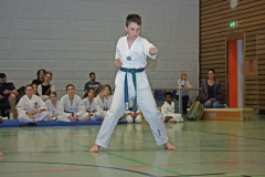 IMG_3878_bearbeitet-1