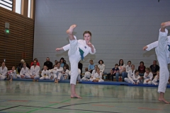 IMG_3893_bearbeitet-1