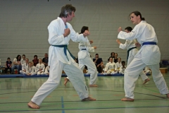 IMG_3903_bearbeitet-1