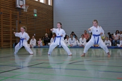 IMG_3908_bearbeitet-1