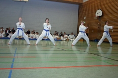 IMG_3909_bearbeitet-1