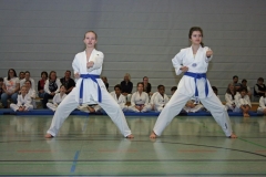 IMG_3911_bearbeitet-1