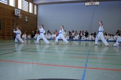 IMG_3915_bearbeitet-1