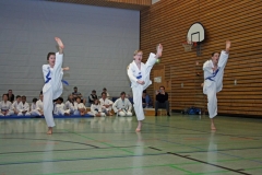 IMG_3917_bearbeitet-1