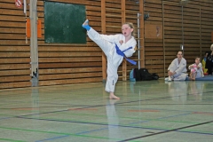 IMG_3923_bearbeitet-1