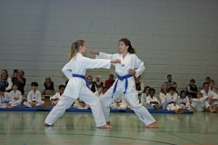 IMG_3945_bearbeitet-1