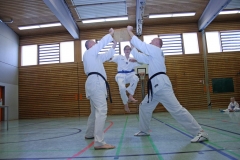 IMG_3960_bearbeitet-1