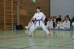 IMG_3964_bearbeitet-1