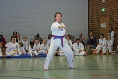 IMG_3967_bearbeitet-1