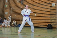 IMG_3968_bearbeitet-1