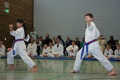 IMG_3969_bearbeitet-1