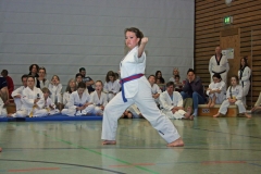 IMG_3970_bearbeitet-1