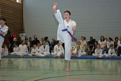IMG_3972_bearbeitet-1