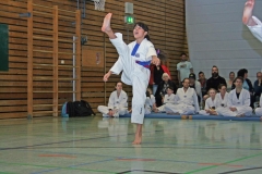 IMG_3973_bearbeitet-1