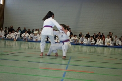 IMG_3997_bearbeitet-1