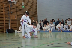 IMG_3998_bearbeitet-1