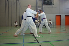 IMG_4010_bearbeitet-1