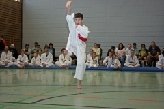 IMG_4018_bearbeitet-1