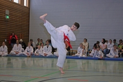 IMG_4020_bearbeitet-1