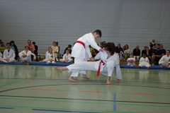 IMG_4038_bearbeitet-1
