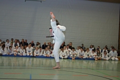 IMG_4056_bearbeitet-1