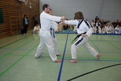 IMG_4081_bearbeitet-1