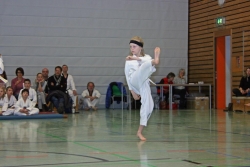 IMG_7673_bearbeitet-1